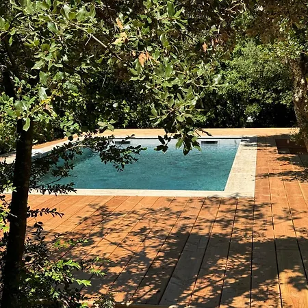 Chemin De Ronze - Maison Au Calme Avec Piscine * Labastide-de-Virac